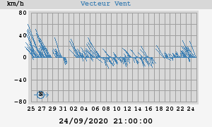 Wind Vector